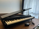 Korg Keyboard Electronic Piano