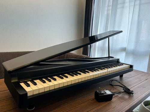 Korg Keyboard Electronic Piano