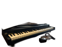 Korg Keyboard Electronic Piano