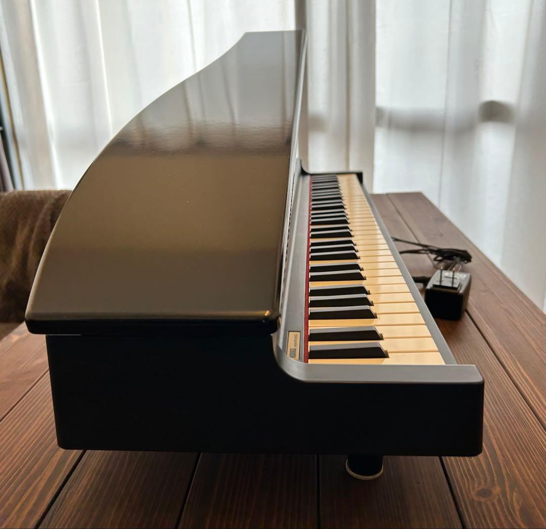 Korg Keyboard Electronic Piano