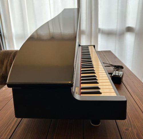 Korg Keyboard Electronic Piano