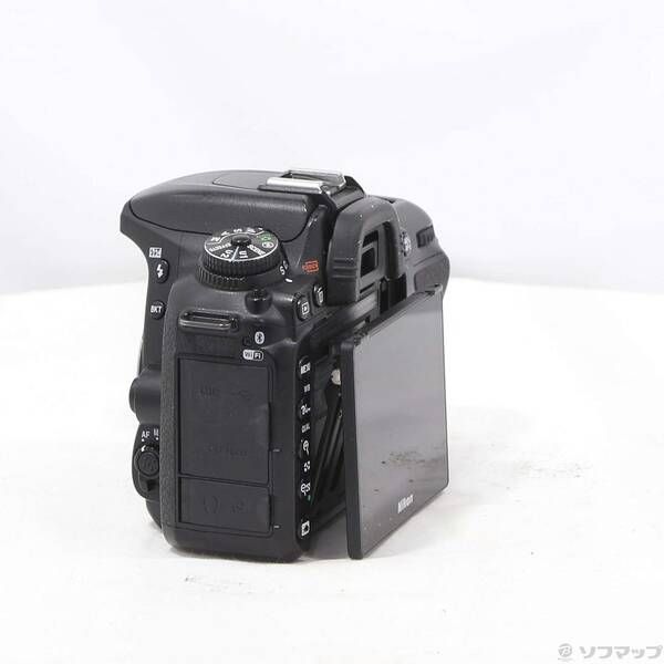 Nikon Digital Slr D7500 198