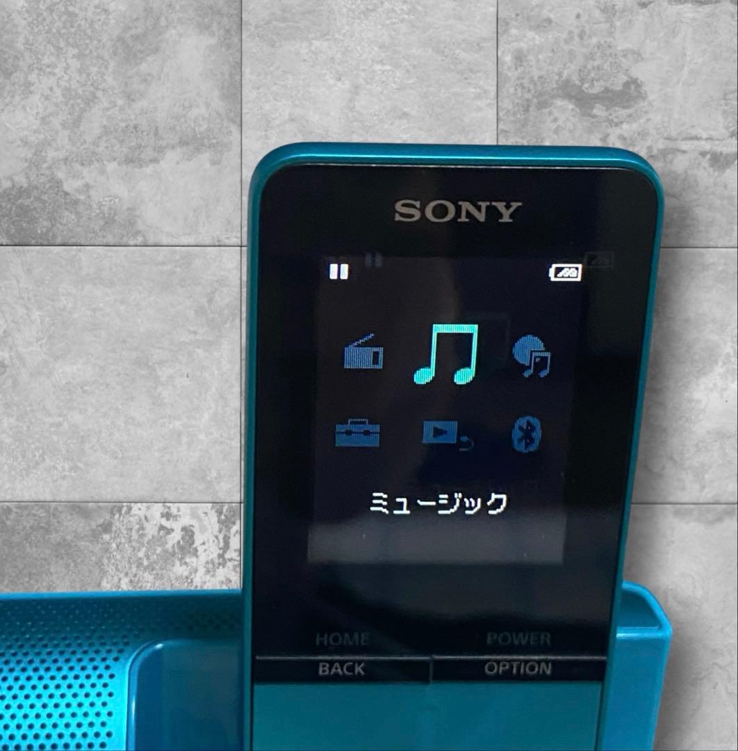 Sony Digital Audio Players Nw-S313K