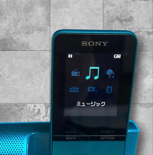 Sony Digital Audio Players Nw-S313K