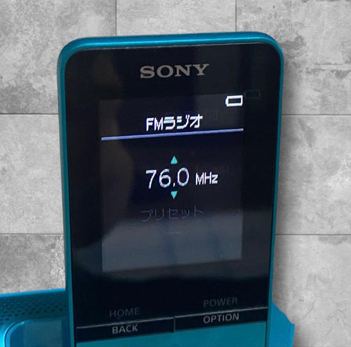 Sony Digital Audio Players Nw-S313K