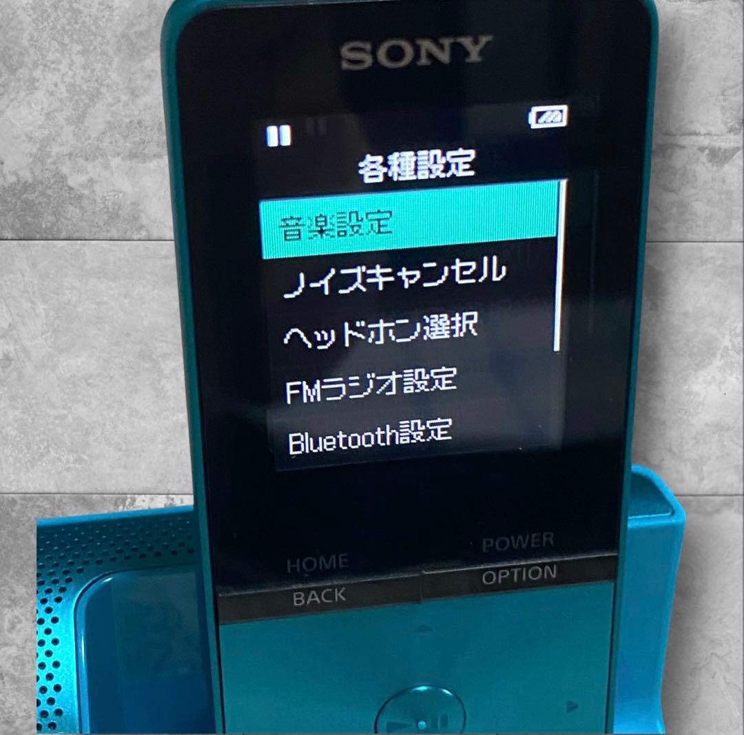Sony Digital Audio Players Nw-S313K