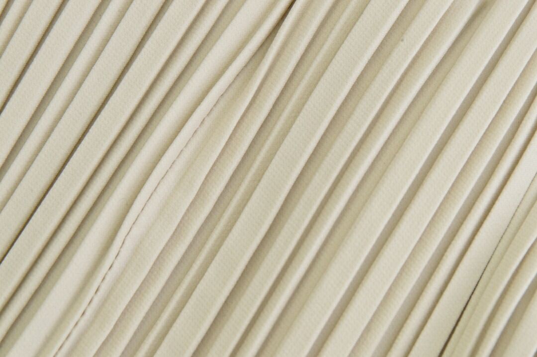 Issey Miyake Others Issei Pleats Please F-Ya1238