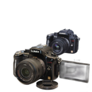 Panasonic Mirrorless Interchangeable Lips Lumix Dmc-Gh2