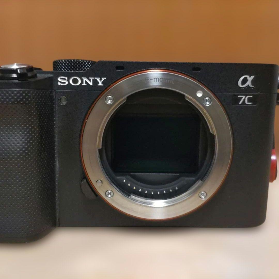 Sony Mirrorless Interchangeable Lips 7C 2