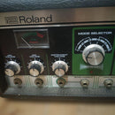 Roland Other Space Echo Re-150