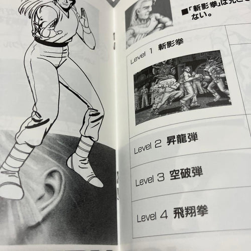 Snk Games Neogeo Fatal Fury