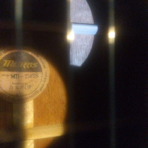 Acoustic Guitar Morris