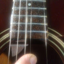 Acoustic Guitar Morris