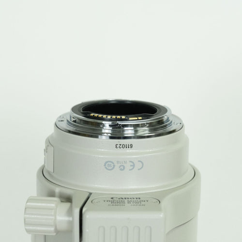 Canon Lens (Zoom) Ef100-400Mm F4.5-5.6L Is Usm Ef