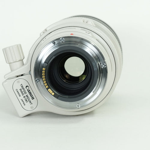 Canon Lens (Zoom) Ef100-400Mm F4.5-5.6L Is Usm Ef
