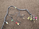 Yamaha Electrical System Xjr1300 B5600 Rp03J P501E