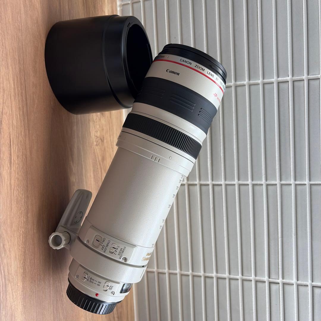 Canon Zoom Lenses Ef 100-400Mm F/4.5-5.6L Is Usm I