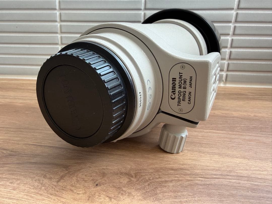 Canon Zoom Lenses Ef 100-400Mm F/4.5-5.6L Is Usm I