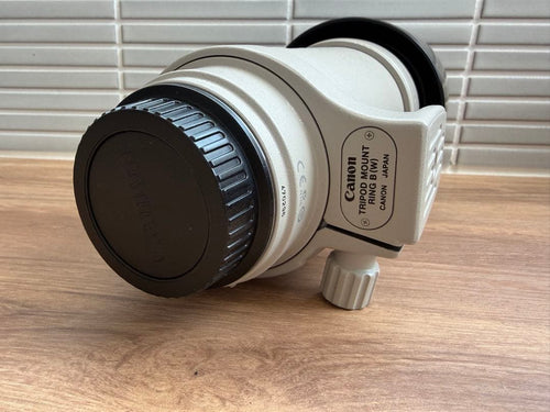 Canon Zoom Lenses Ef 100-400Mm F/4.5-5.6L Is Usm I