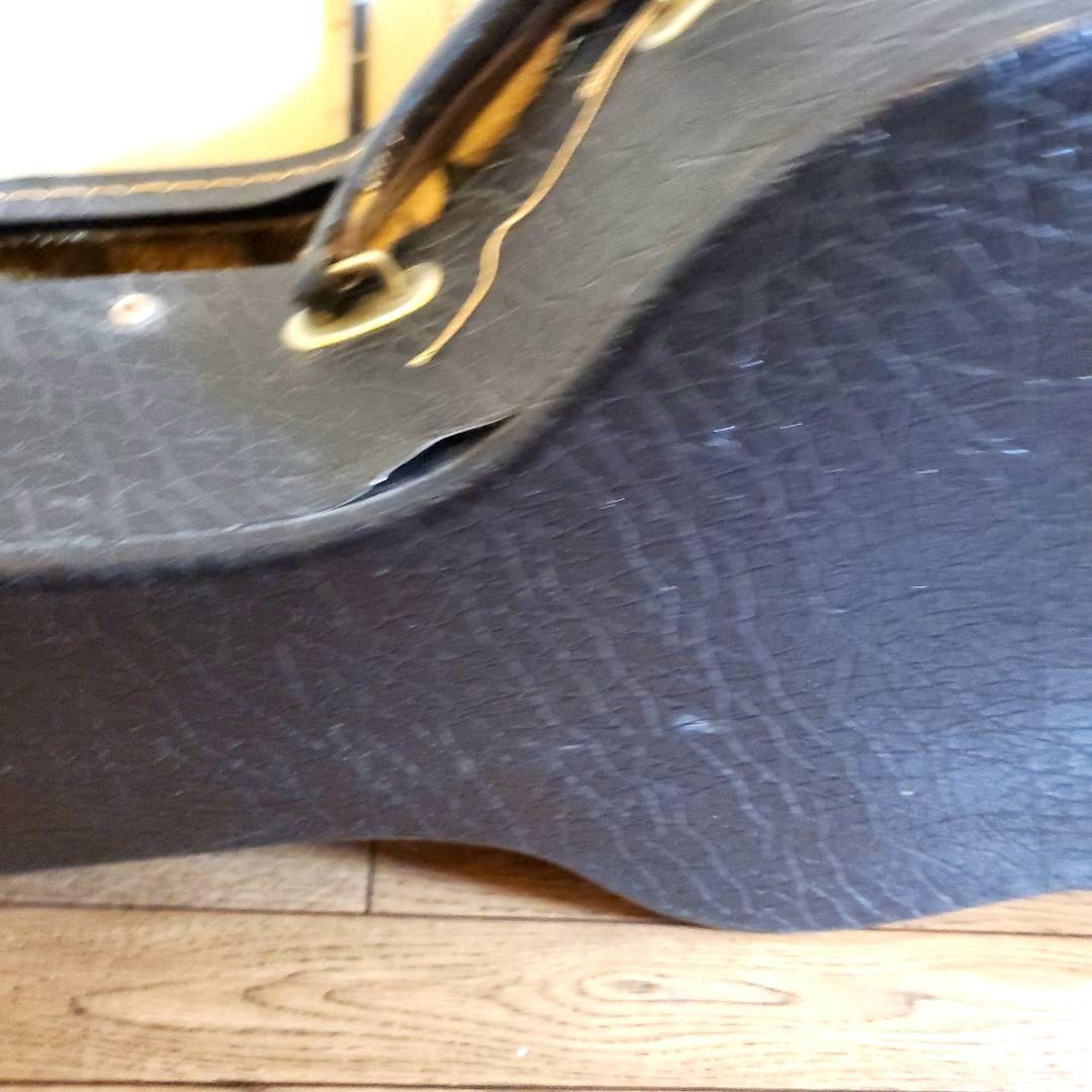 Yamaha Guitar Cases