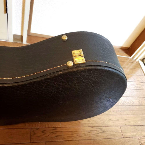 Yamaha Guitar Cases