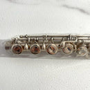 Yamaha Flutes Yfl-311 E
