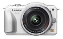Digital Slr Gf5 Dmc-Gf5X-W