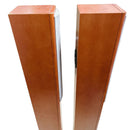 Onkyo Speakers D-057F