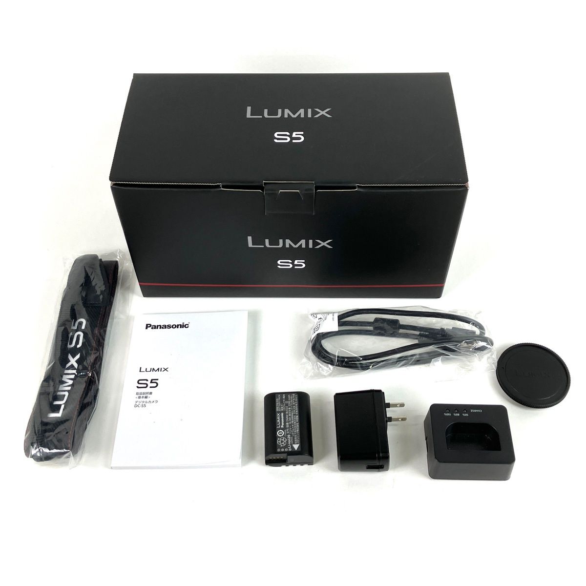 Panasonic Mirrorless Interchangeable Lips Lumix Dc-S5