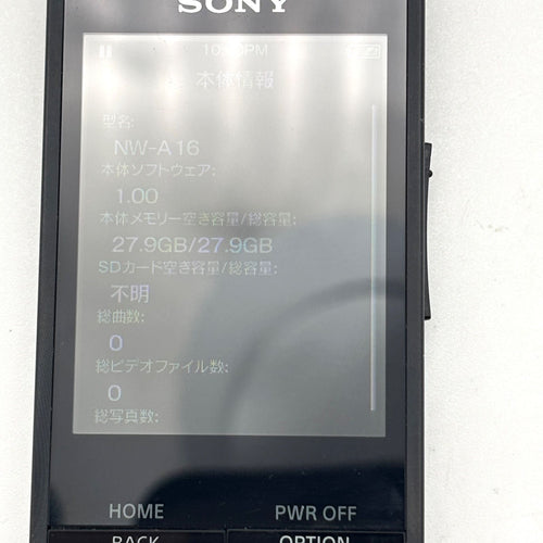 Sony Digital Audio Player Walkman 32Gb Nw-A16