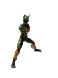 S.H.Figuarts Kamen Rider