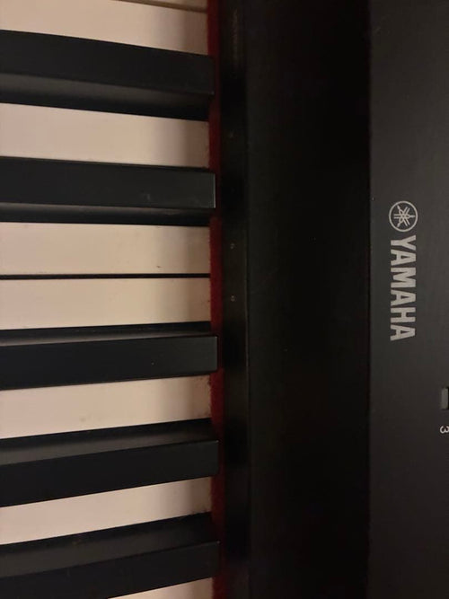 Yamaha Keyboards Digital Pianos P-125
