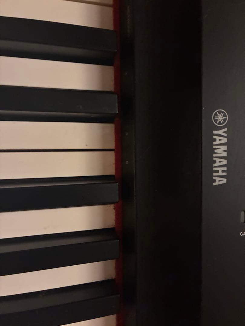 Yamaha Keyboards Digital Pianos P-125