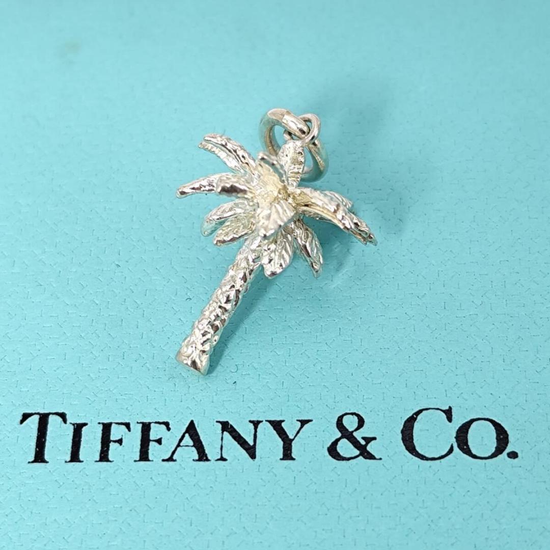 Tiffany Charms