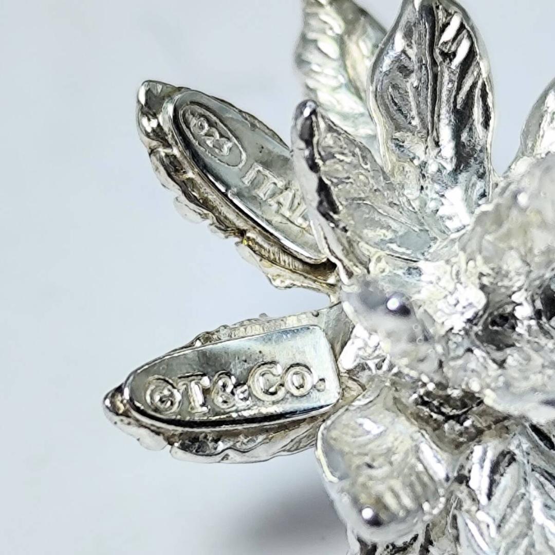 Tiffany Charms