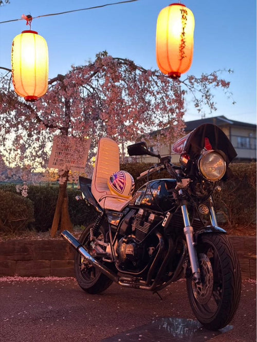 Yamaha Motorcycle Frames Xjr400