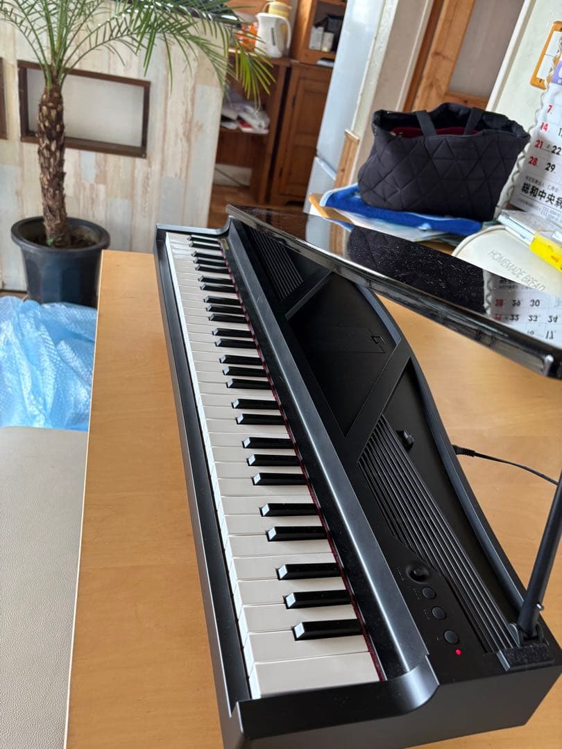 Keyboards Digital Pianos Korg Micropiano 61