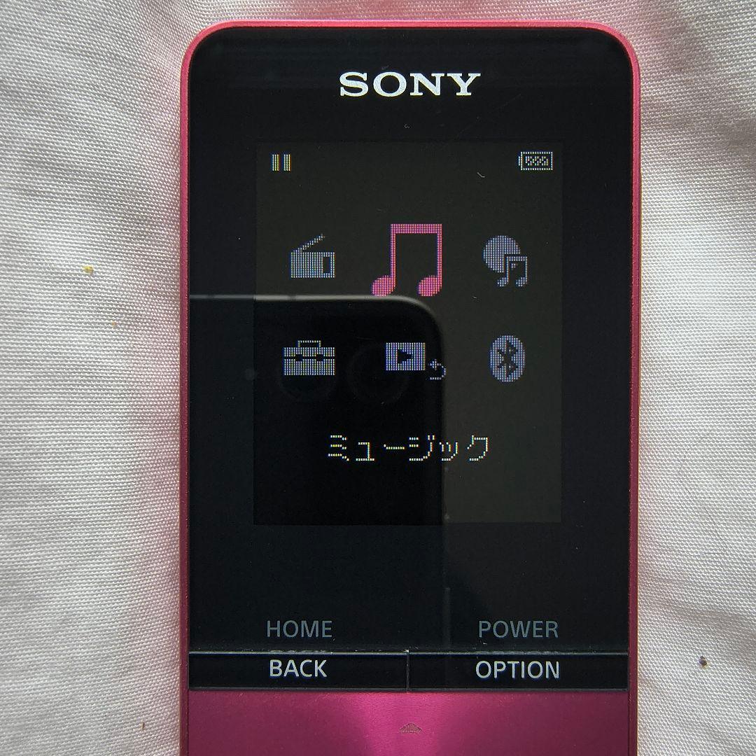 Sony Digital Audio Player 16Gb