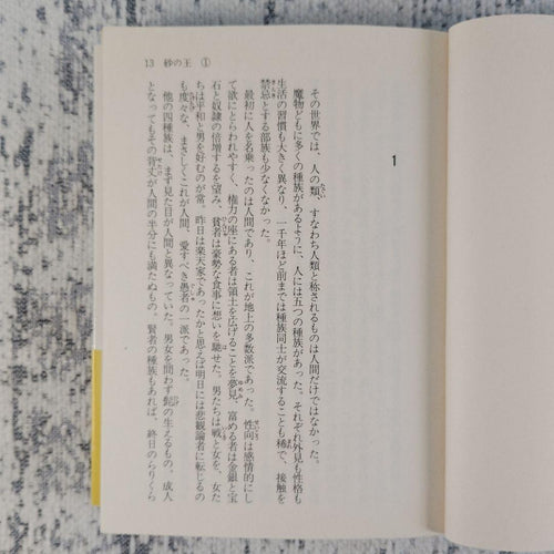 Literature Novel 1