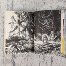 Literature Novel 1