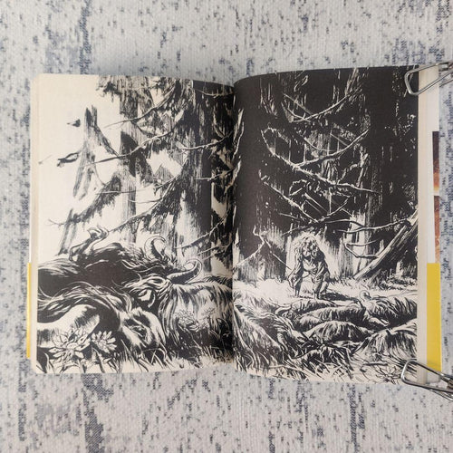 Literature Novel 1