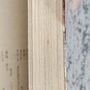 Literature Novel 1