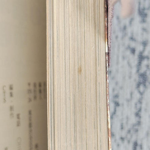 Literature Novel 1