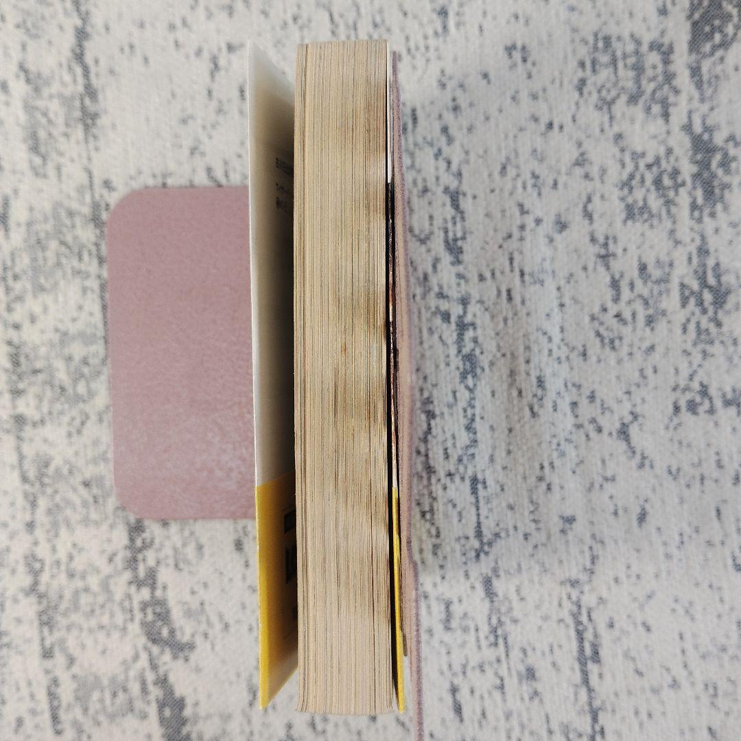 Literature Novel 1