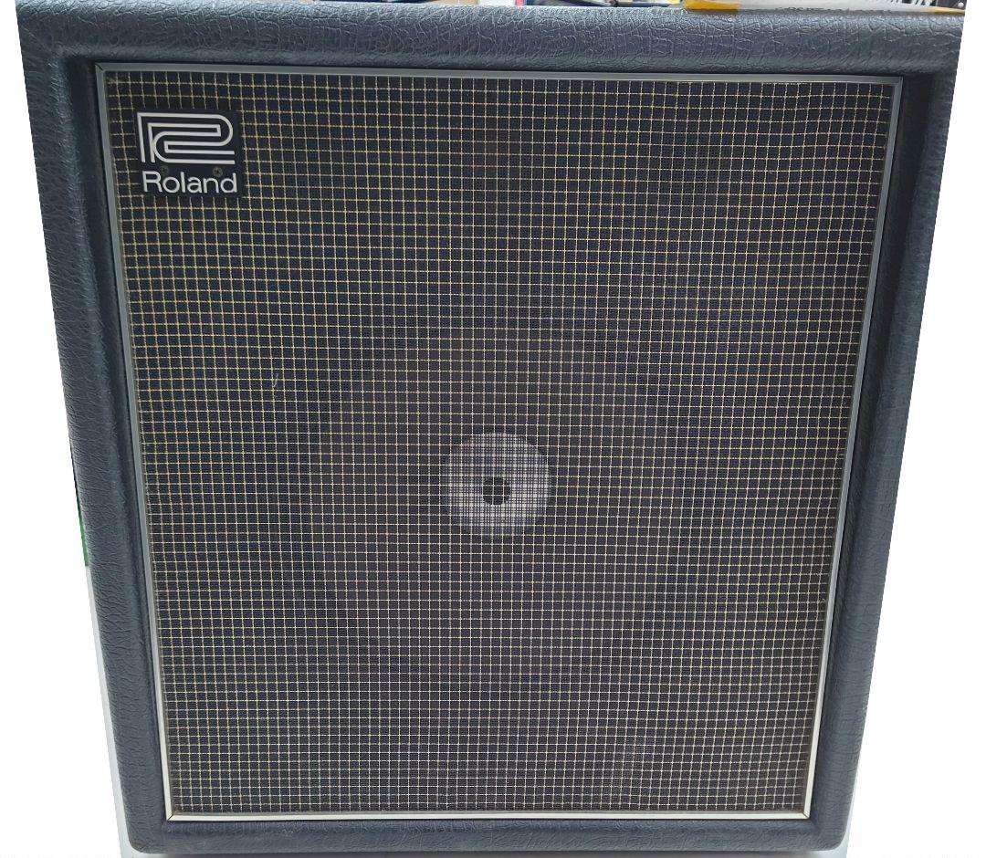 Roland Guitar Amplifier Ca-40
