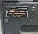 Roland Guitar Amplifier Ca-40