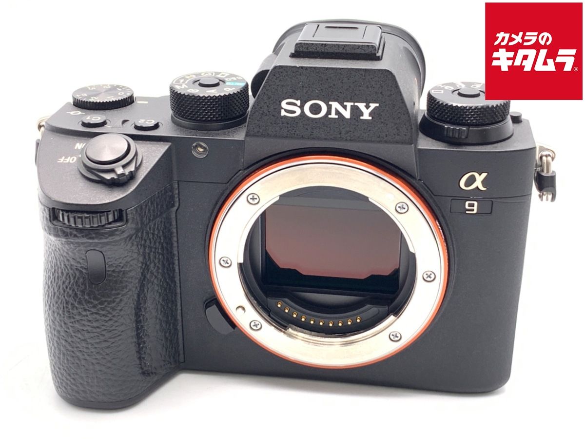 Mirrorless Interchangeable Lips 9 [Ilce-9]