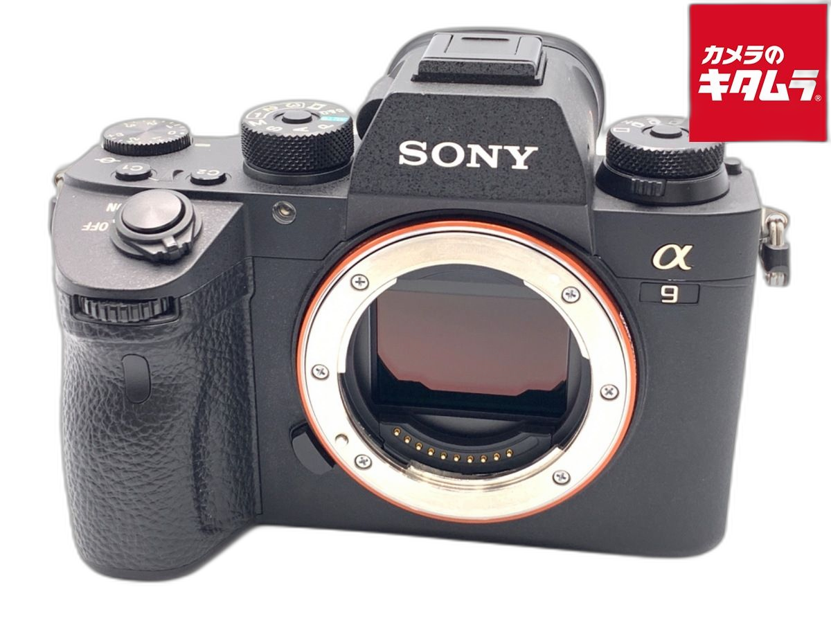Mirrorless Interchangeable Lips 9 [Ilce-9]