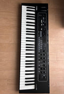 Yamaha Keyboards Digital Pianos Ck61