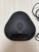 Yamaha Computer Speakers Yvc-300